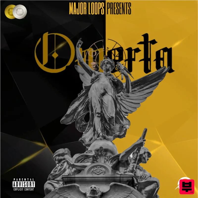 Major Loops Omerta - Professional Music Instrument Photo