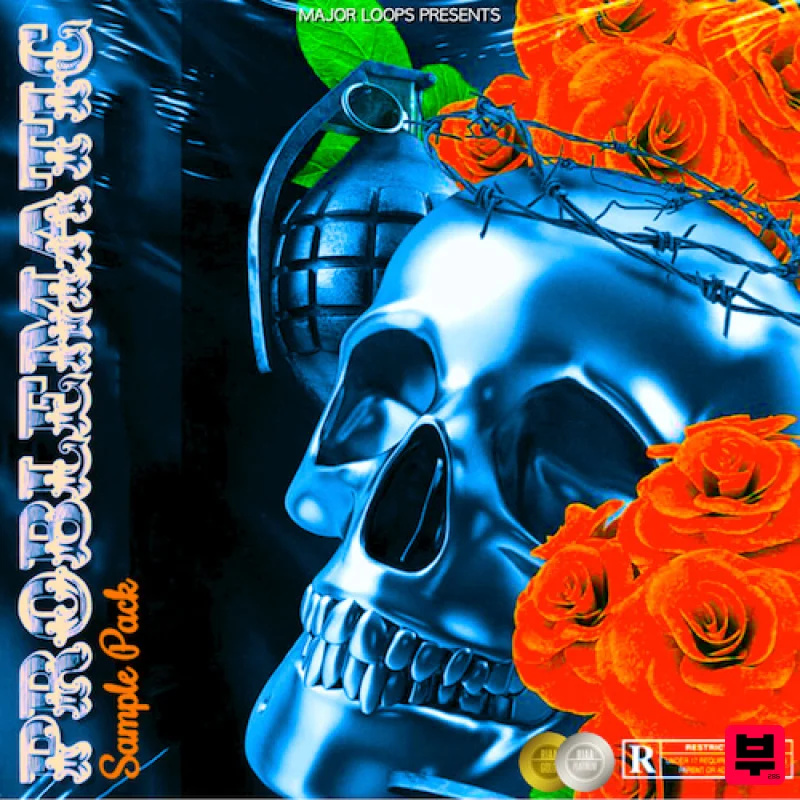 Major Loops Problematic - Hip Hop