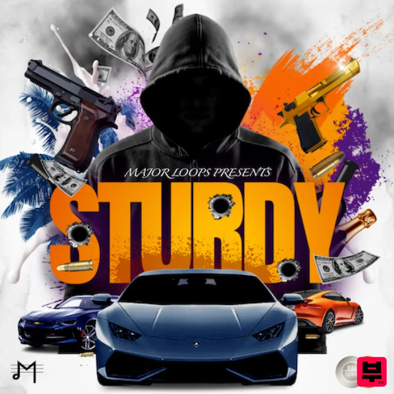 Major Loops Sturdy - Professional Music Instrument Photo