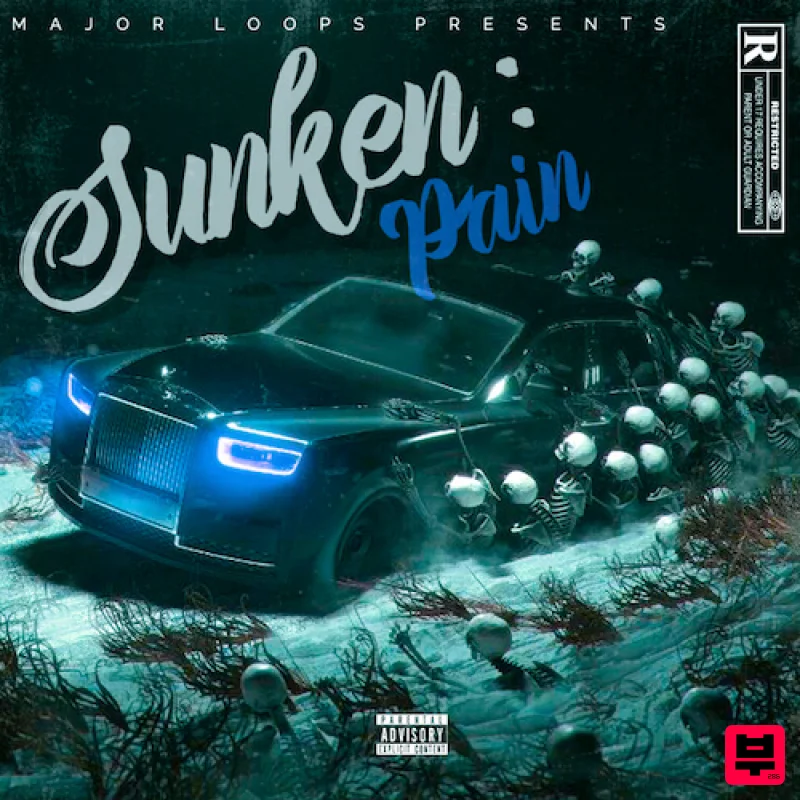 Major Loops Sunken: Pain - Professional Music Instrument Photo