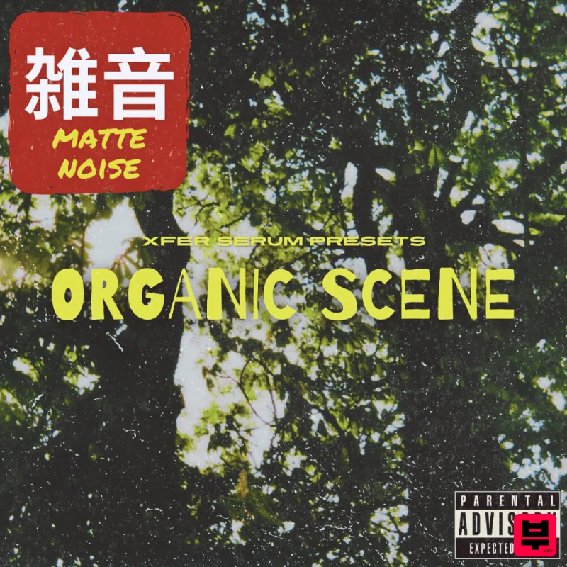 Matte Noise Organic Scene - Ambient