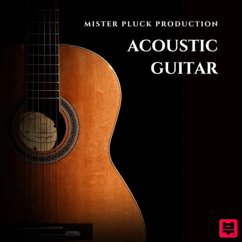 Mister Pluck Production Acoustic Guitar - Dance Music