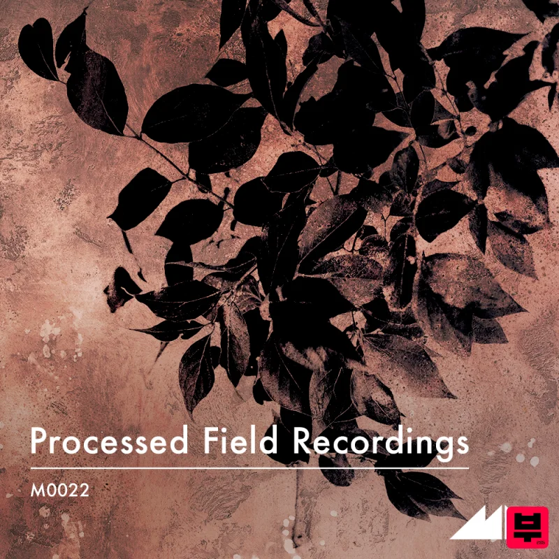 ModeAudio Processed Field Recordings - Cinematic