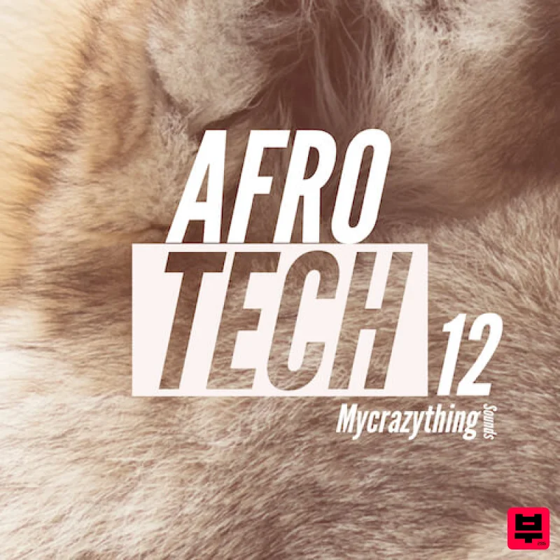 Mycrazything records Afro Tech 12 - House