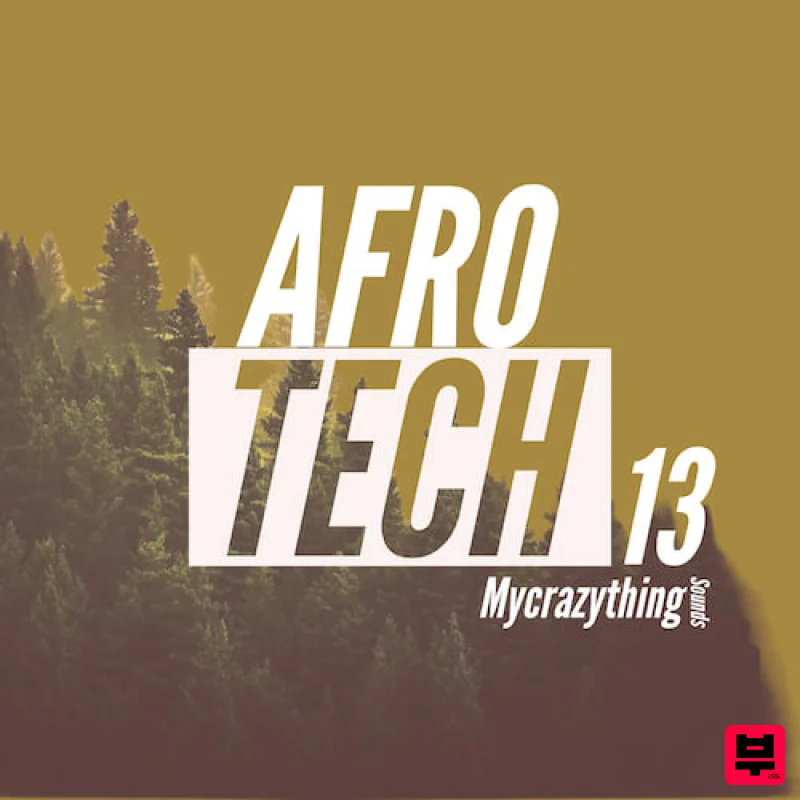 Mycrazything records Afro Tech 13 - House