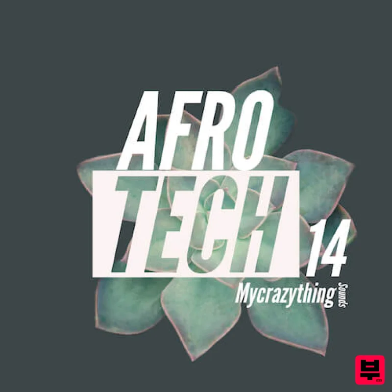 Mycrazything records Afro Tech 14 - House