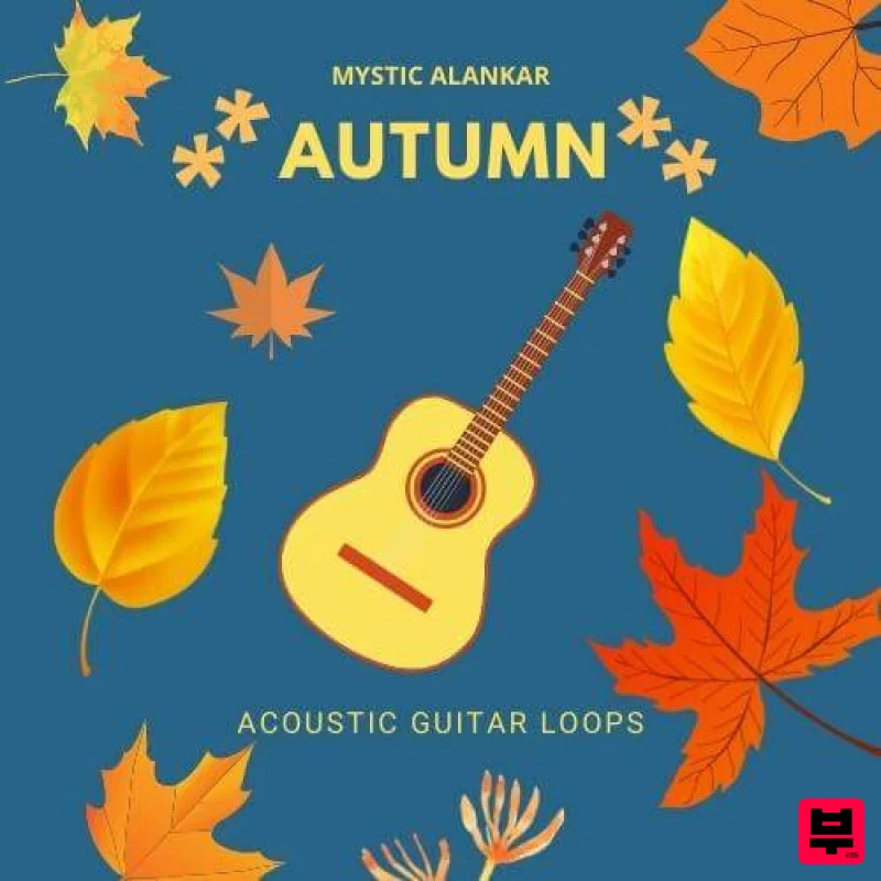 Mystic Alankar Autumn - Guitar Loops - Professional Music Instrument Photo