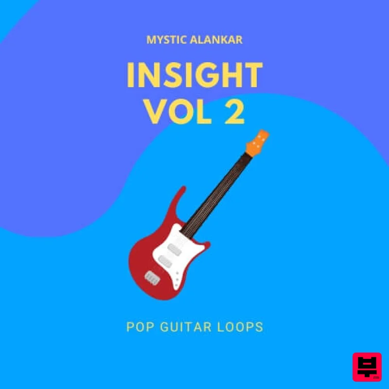 Mystic Alankar Insight Vol 2 - Guitar Loops - Professional Music Instrument Photo