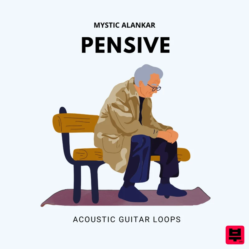Mystic Alankar Pensive - Acoustic Guitar Loops - Professional Music Instrument Photo