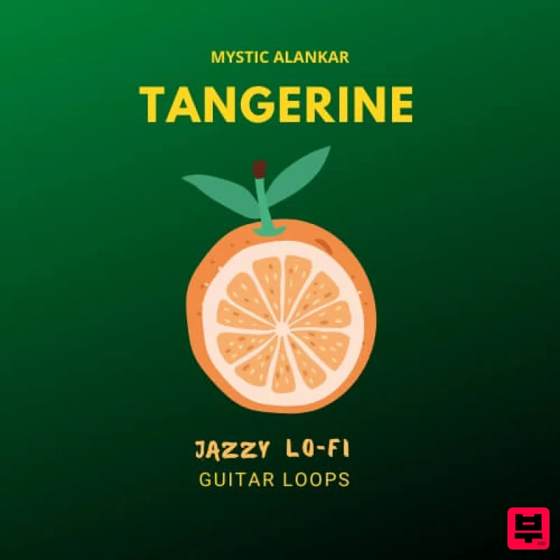 Mystic Alankar Tangerine - Guitar Loops - Professional Music Instrument Photo