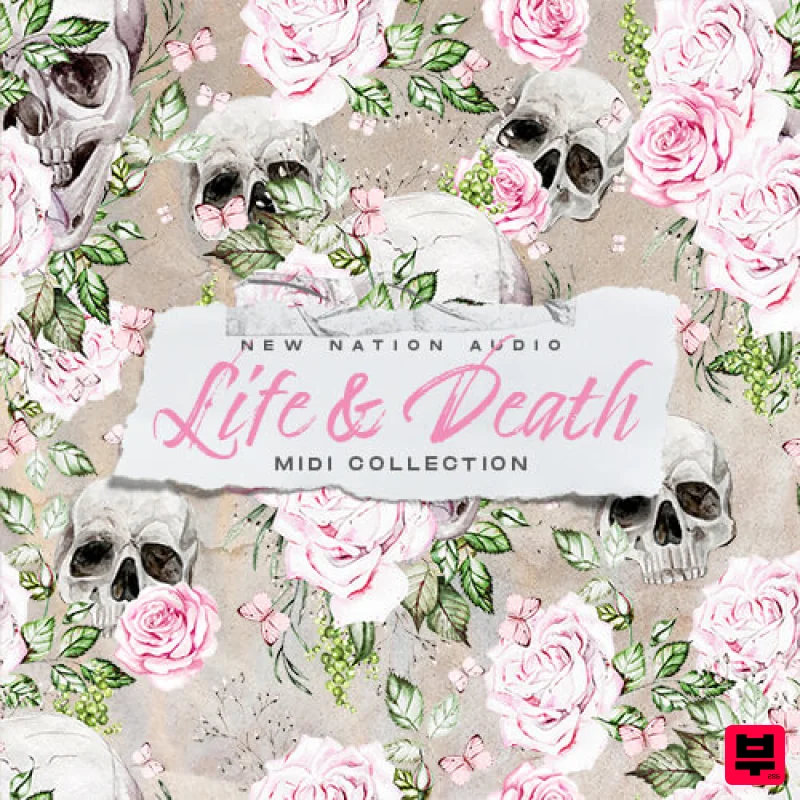 New Nation Life & Death MIDI Collection - Professional Music Instrument Photo