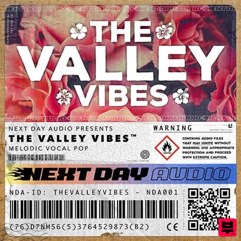 Next Day Audio The Valley Vibes - Uplifting Vocal Anthems - Festival House