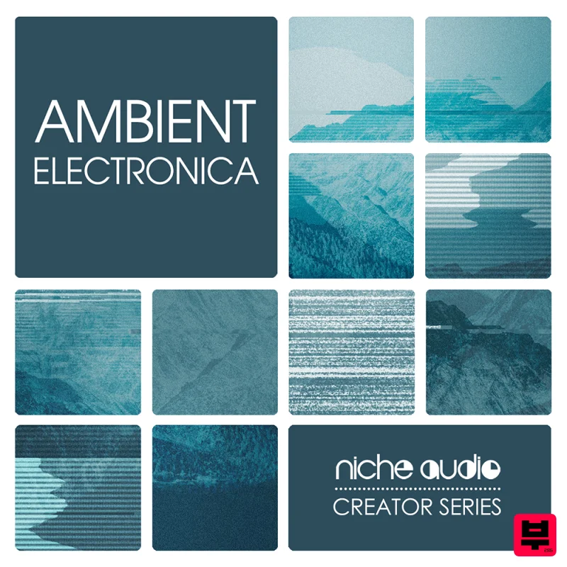 Niche Audio Creator Series: Ambient Electronica - Electronica