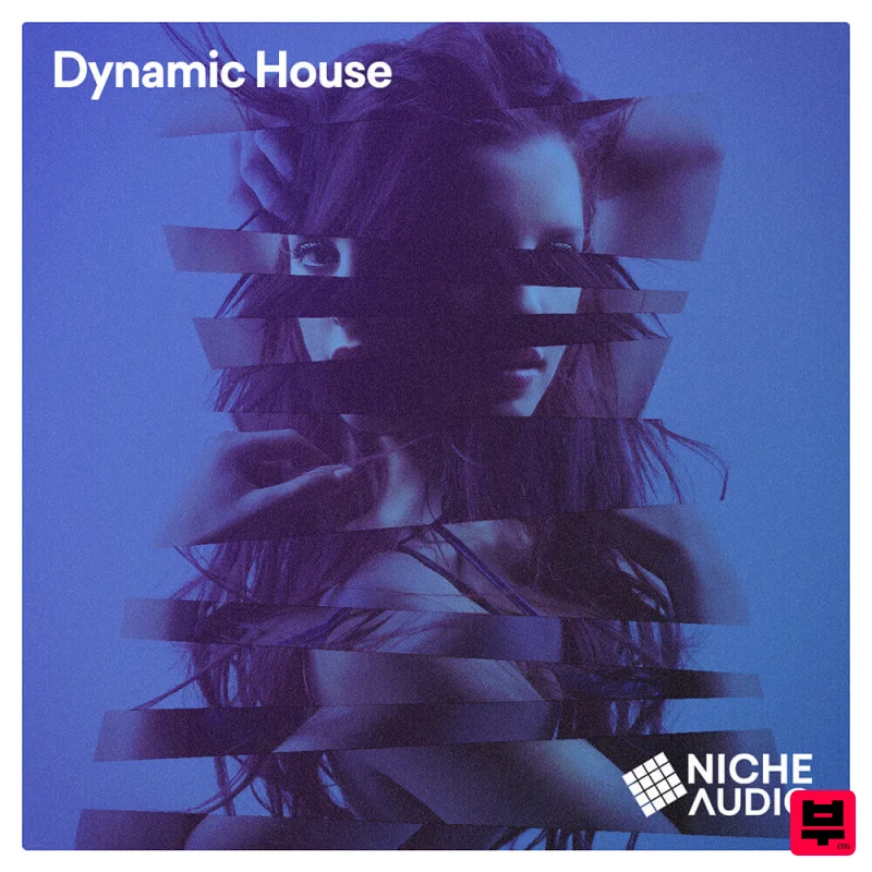 Niche Audio Dynamic House - House