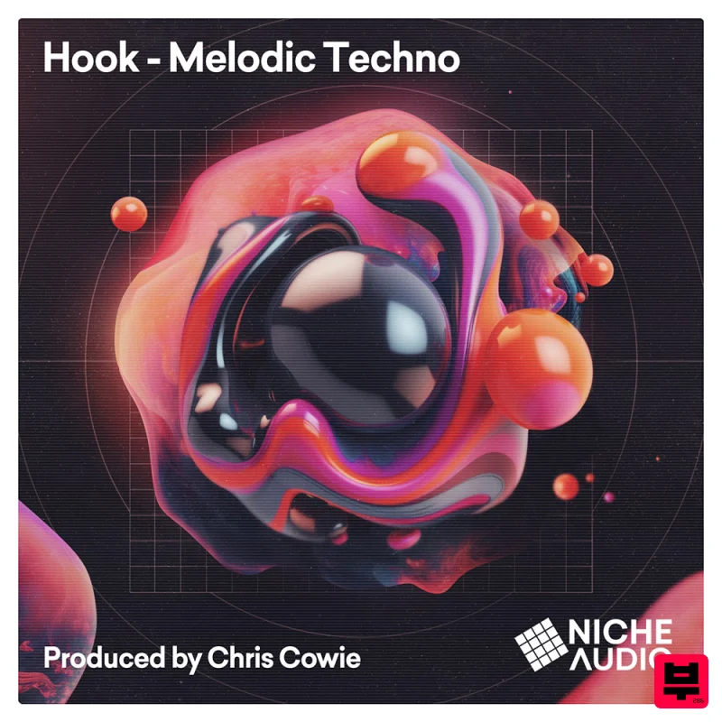 Niche Audio Hook - Melodic Techno - Melodic Techno