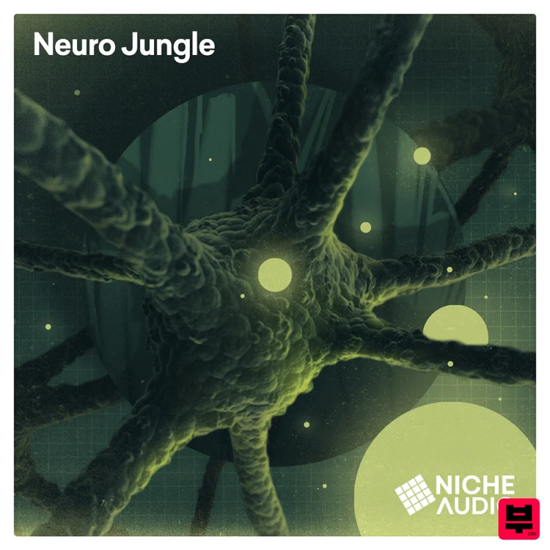 Niche Audio Neuro Jungle - Drum and Bass