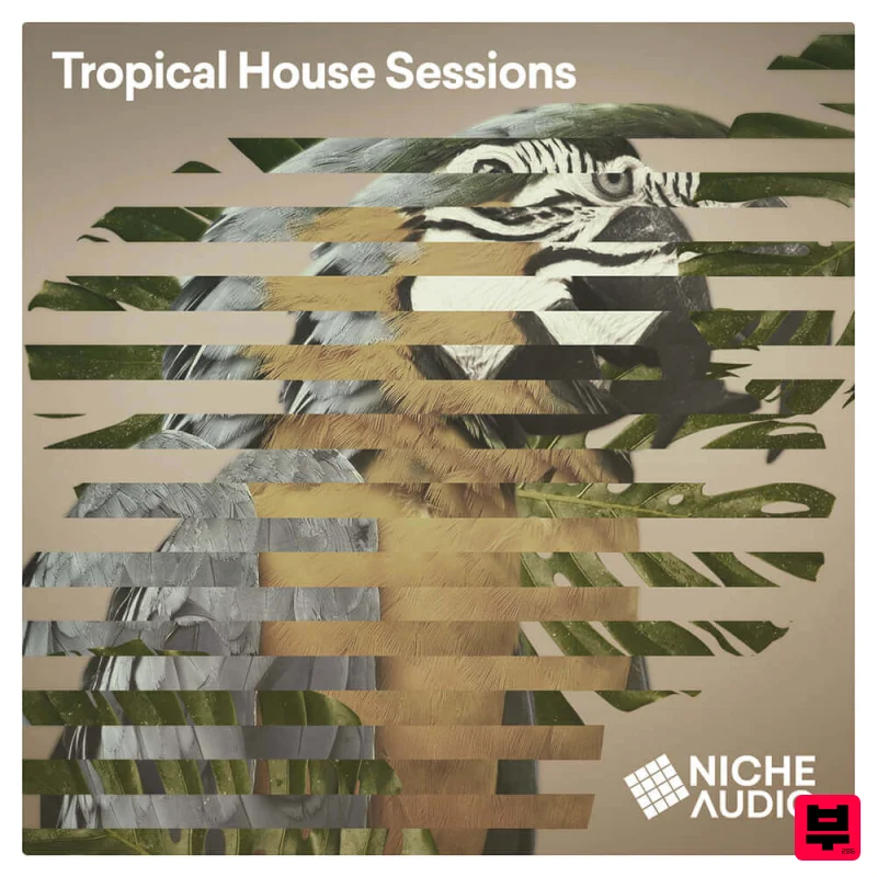 Niche Audio Niche Audio - Tropical House Sessions - Tropical House
