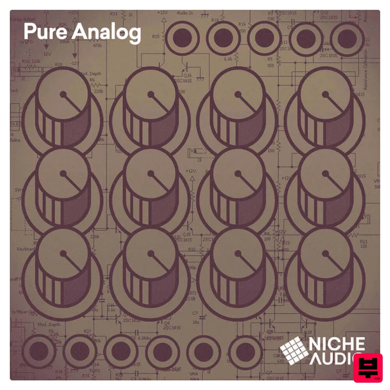 Niche Audio Pure Analog - House