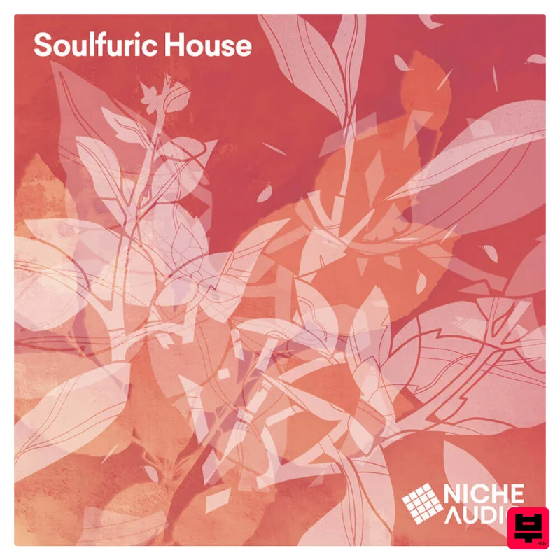 Niche Audio Soulfuric House - Deep House