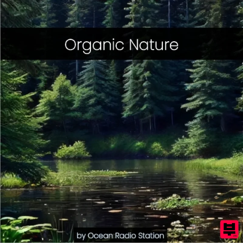 Ocean Radio Station Organic Nature - Sound Effect