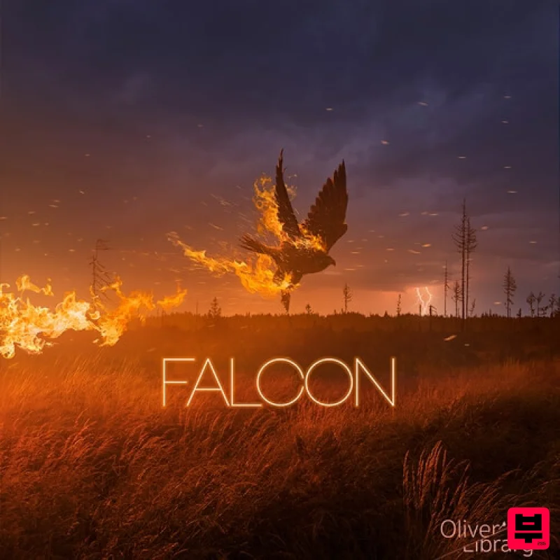 Oliver’s Library Falcon - Future Bass