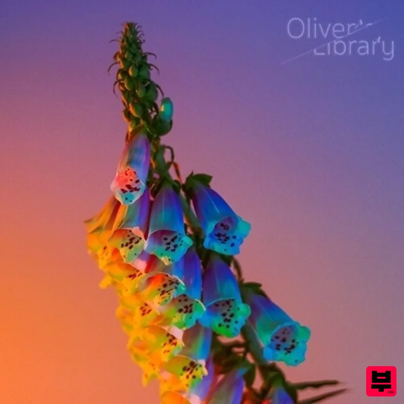 Oliver’s Library Flumen - Future Bass