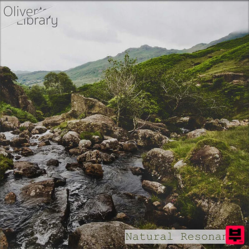 Oliver’s Library Natural Resonance by Gene Chaban - Ambient