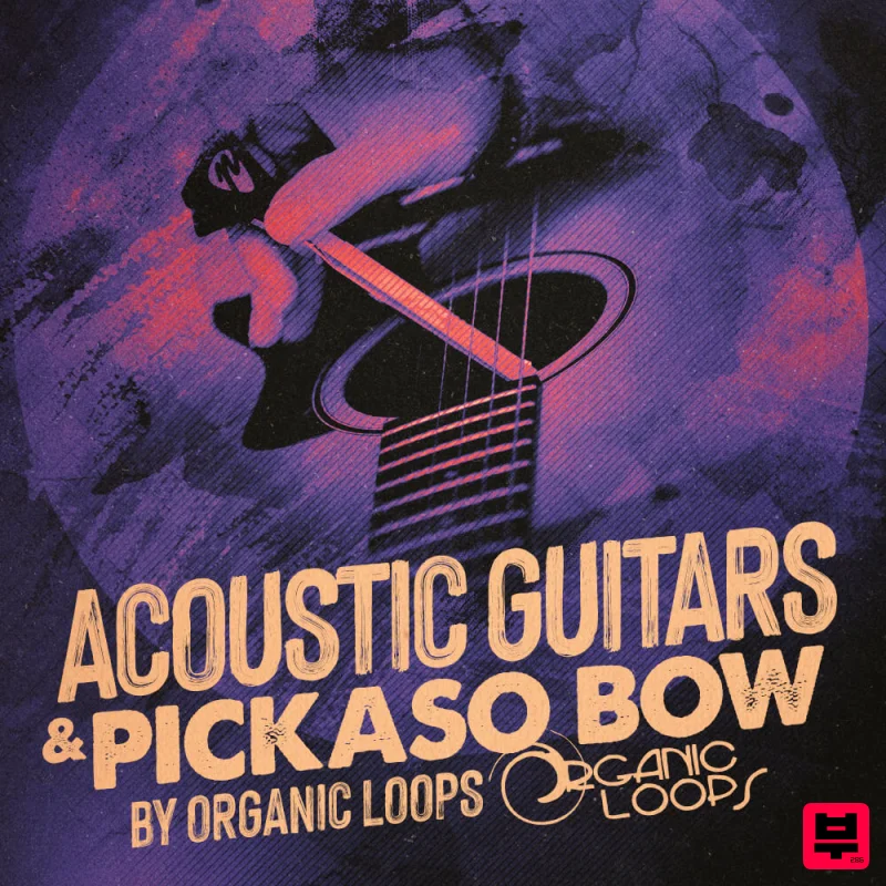 Organic Loops Acoustic Guitars & Pickaso Bow - Professional Music Instrument Photo
