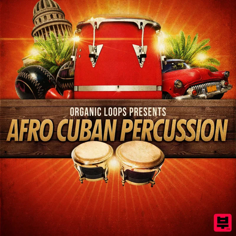 Organic Loops Afro Cuban Percussion - Professional Music Instrument Photo