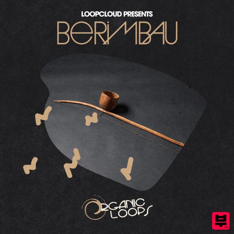 Organic Loops Berimbau - Professional Music Instrument Photo