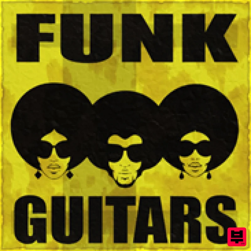 Organic Loops Funk Guitars - Professional Music Instrument Photo