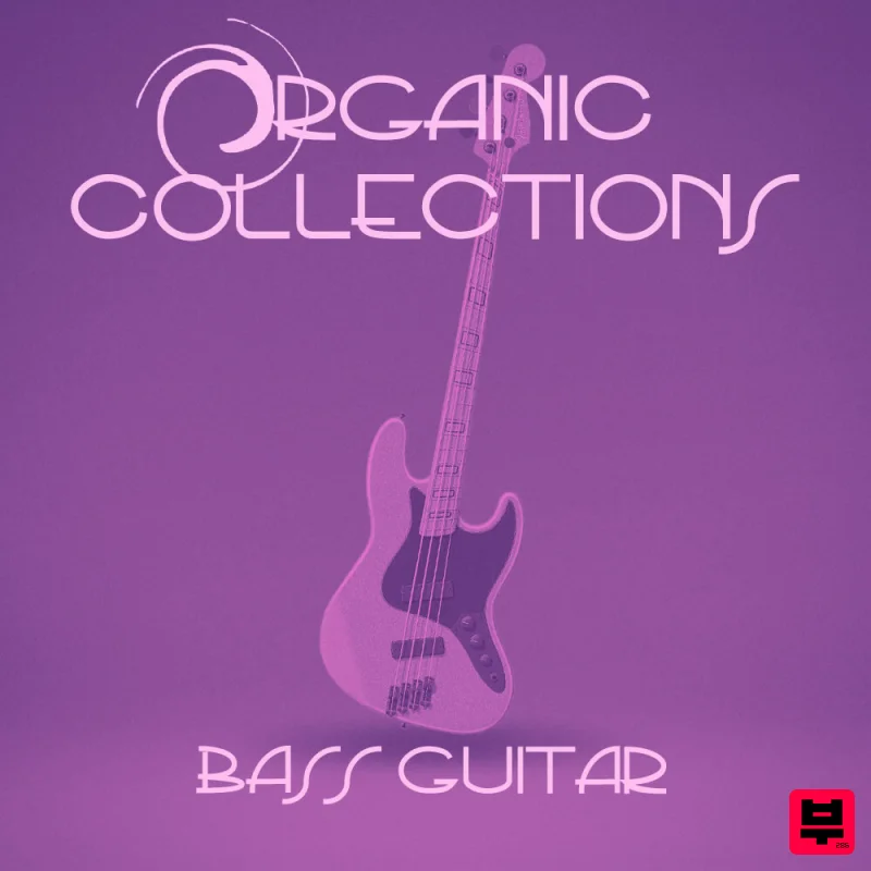 Organic Loops Organic Collections - Bass Guitar - Professional Music Instrument Photo