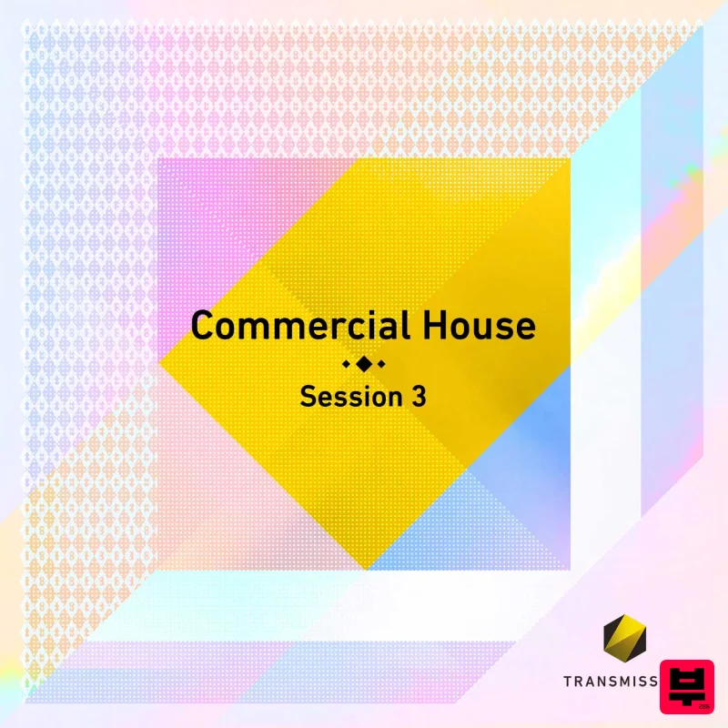 Producer Loops Commercial House Session 3 - House