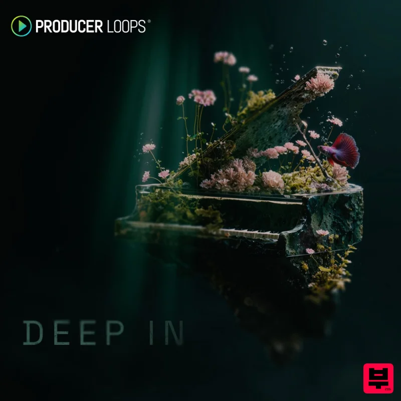 Producer Loops Deep In - House