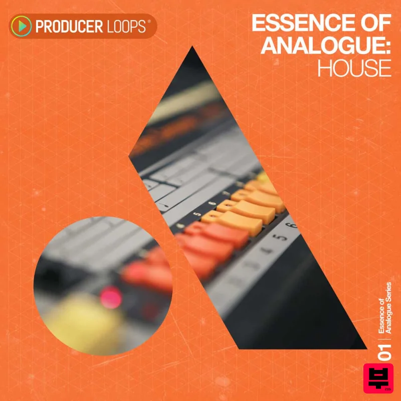 Producer Loops Essence of Analogue - House 01 - House