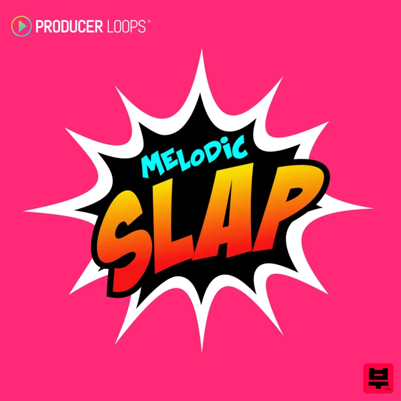 Producer Loops Melodic Slap - Professional Music Instrument Photo
