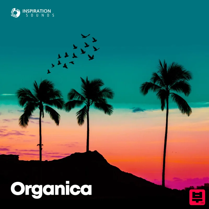 Producer Loops Organica - Deep House