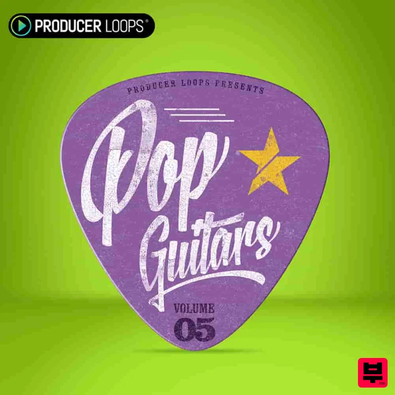 Producer Loops Pop Guitars Vol 5 - Professional Music Instrument Photo