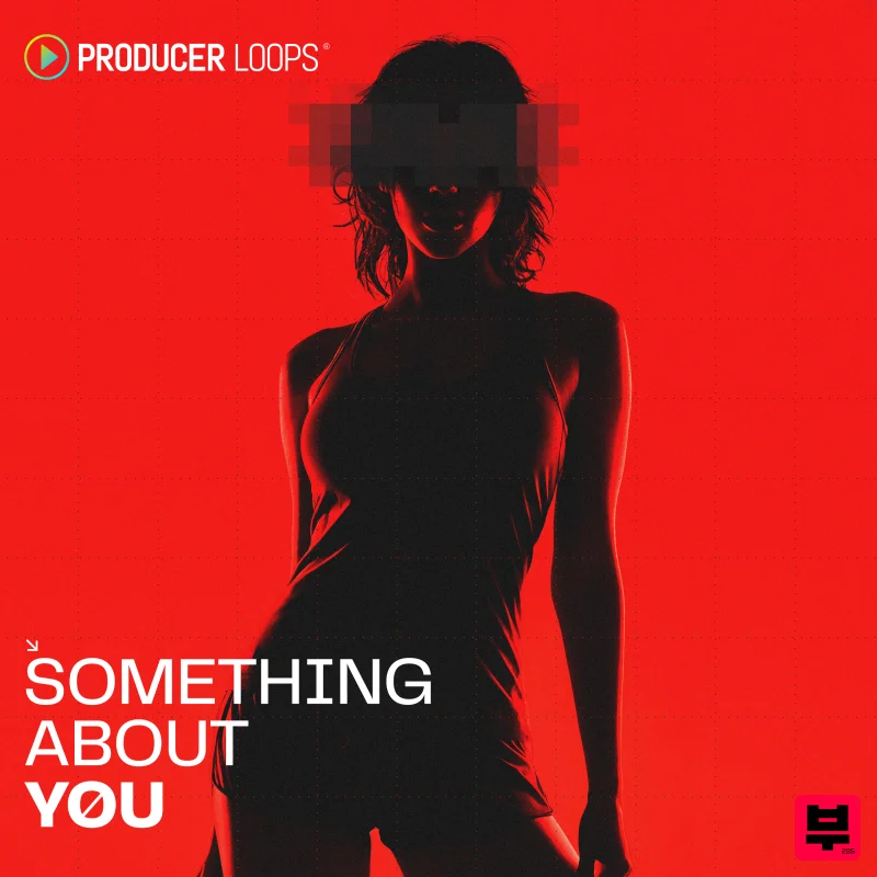Producer Loops Something About You - House