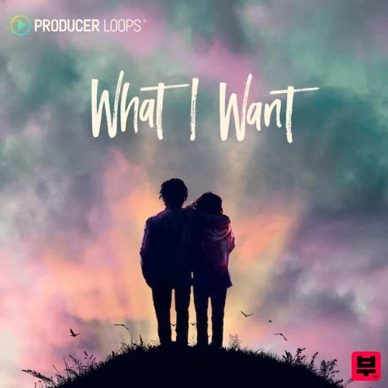 Producer Loops What I Want - Pop