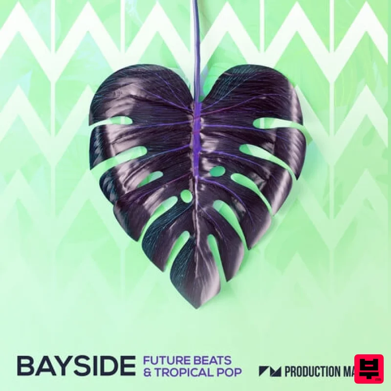 Production Master Bayside - Future Beats & Tropical Pop - Future Pop