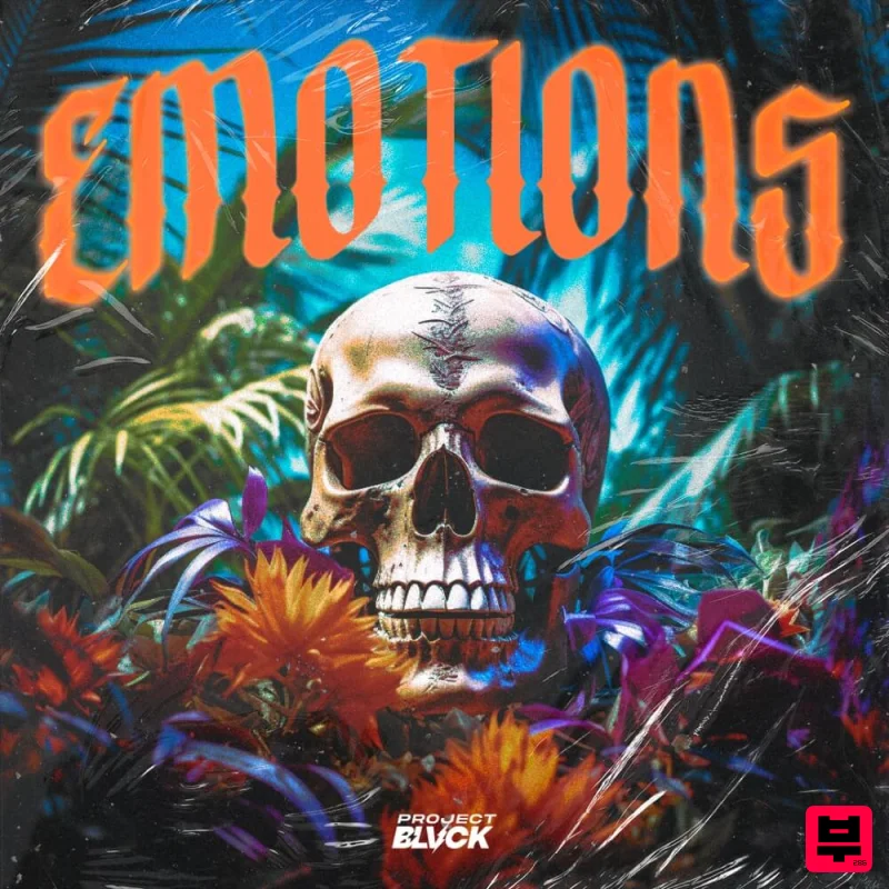 Project Blvck Emotions – Dancehall & Afrobeats Construction Kits - Professional Music Instrument Photo