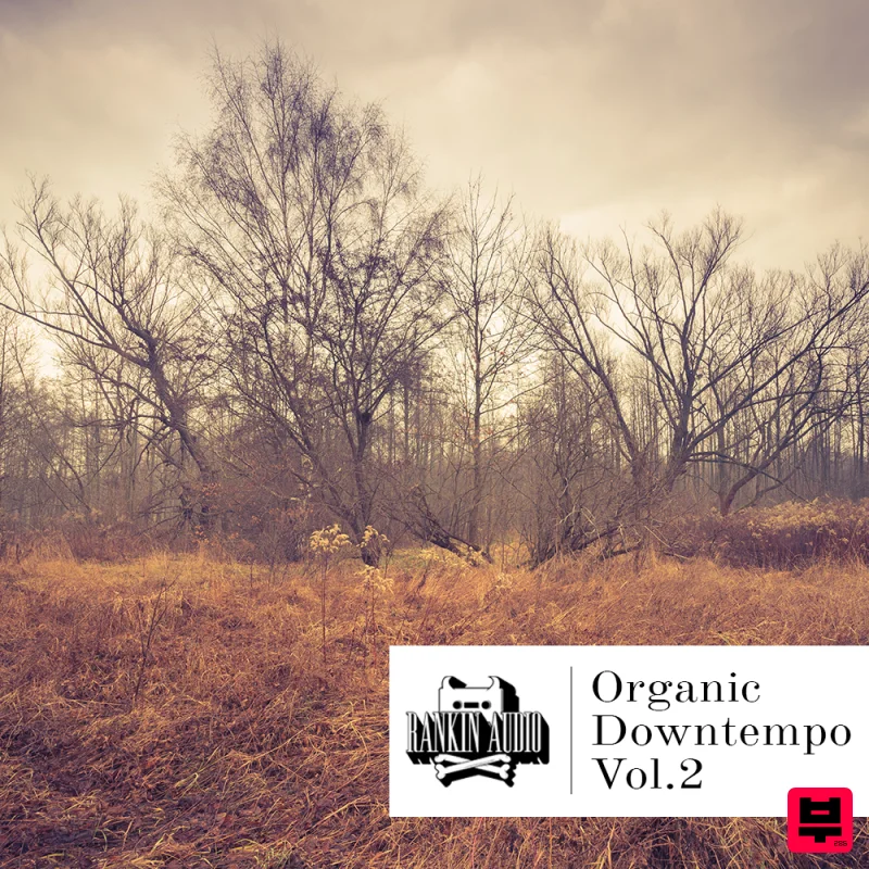 Rankin Audio Organic Downtempo Vol. 2 - Downtempo