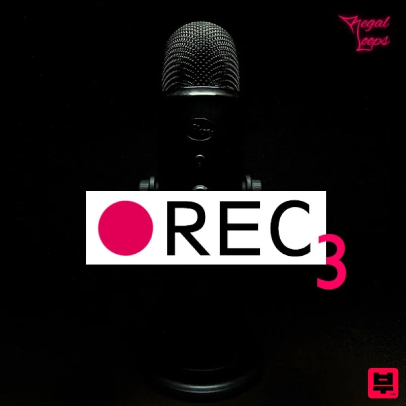 Regal Loops Rec 3 - Professional Music Instrument Photo