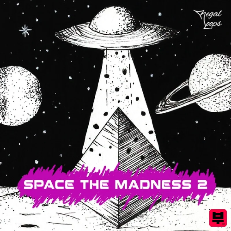 Regal Loops Space The Madness 2 - Professional Music Instrument Photo