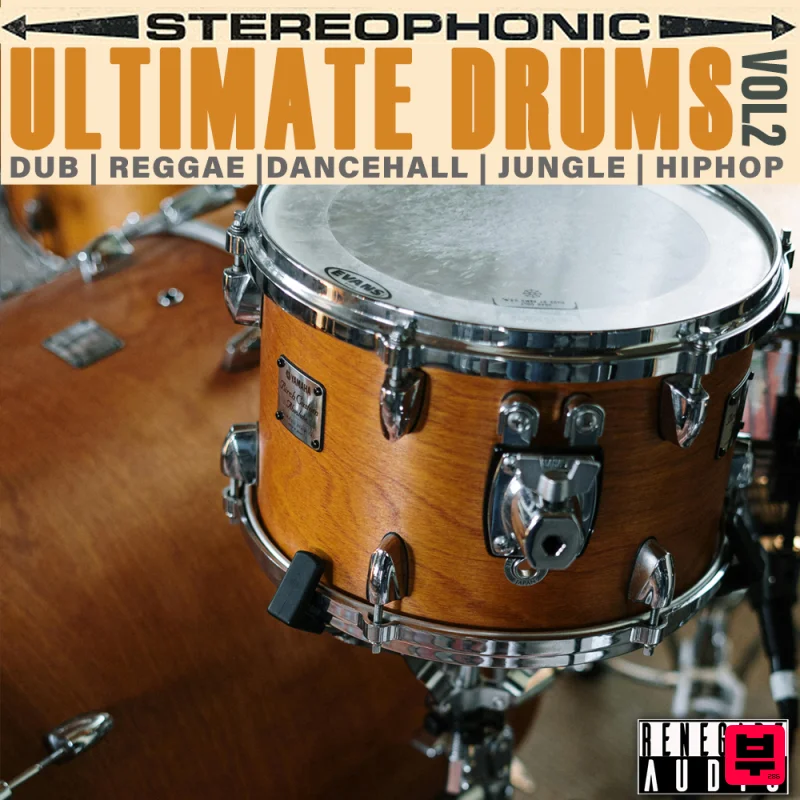 Renegade Audio Ultimate Drum Collection Vol. 2 - Dub