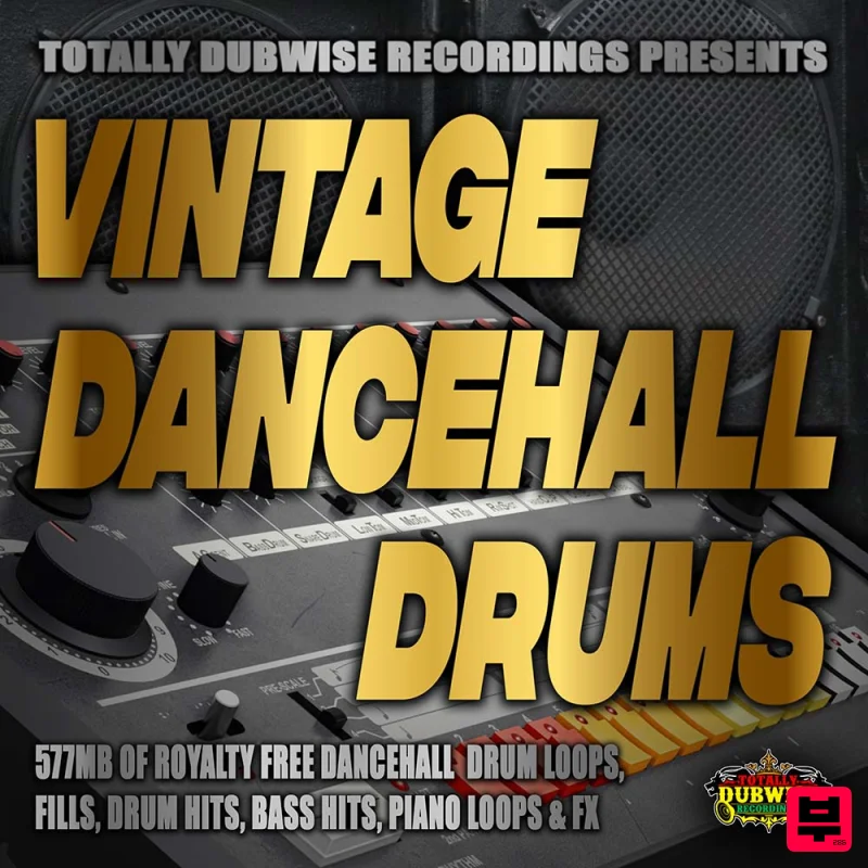 Renegade Audio Vintage Dancehall Drums - Professional Music Instrument Photo