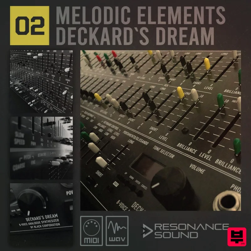 Resonance Sound Melodic Elements 02 - Deckard’s Dream - Professional Music Instrument Photo