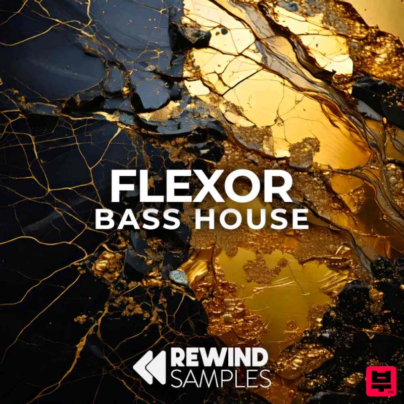 Rewind Samples Flexor: Bass House - Professional Music Instrument Photo