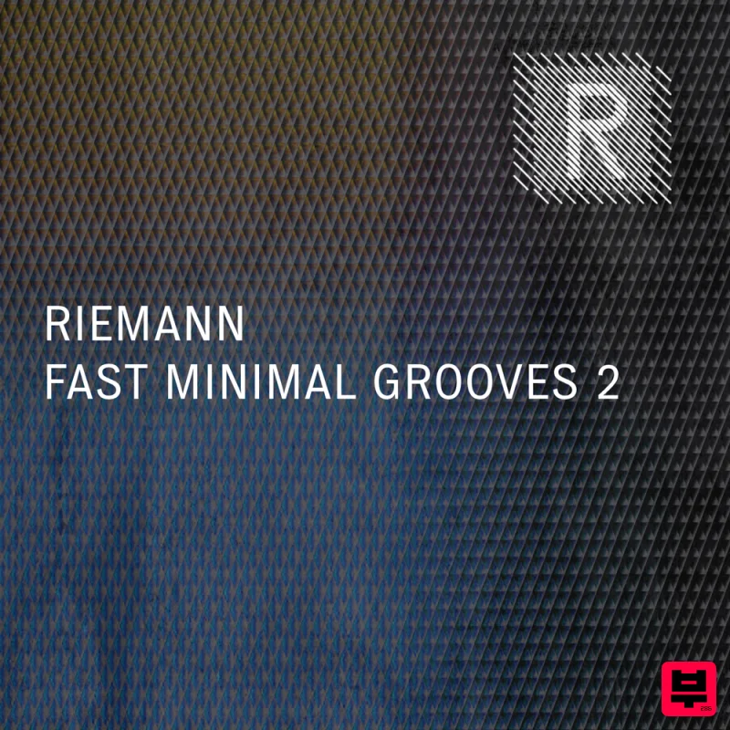 Riemann Kollektion Riemann Fast Minimal Grooves 2 - Minimal Techno